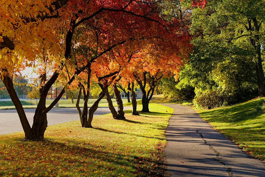 woodbury sidewalk repair